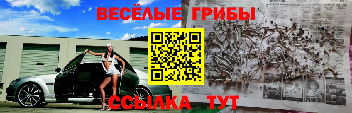 Псилоцибиновые грибы мицелий  даркнет сайт  Кинешма  Вход с VPN  Галлюциногенные грибы прущие грибы 