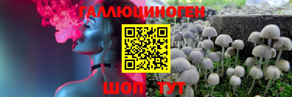 Псилоцибиновые грибы MAGIC MUSHROOMS Кинешма